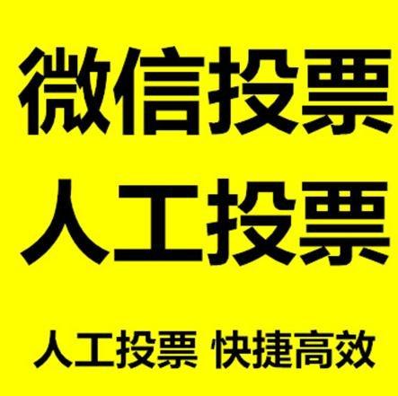 湛江市小程序微信拉票通过什么方式操作有哪些方法操作？